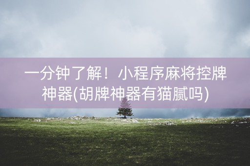 一分钟了解！小程序麻将控牌神器(胡牌神器有猫腻吗)