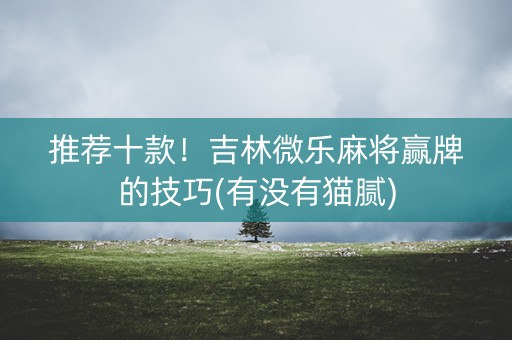 推荐十款！吉林微乐麻将赢牌的技巧(有没有猫腻)