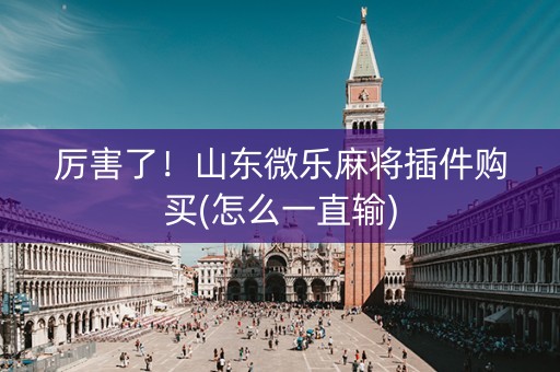 厉害了！山东微乐麻将插件购买(怎么一直输)