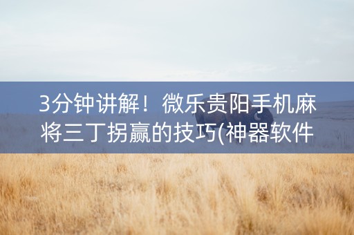 3分钟讲解！微乐贵阳手机麻将三丁拐赢的技巧(神器软件)