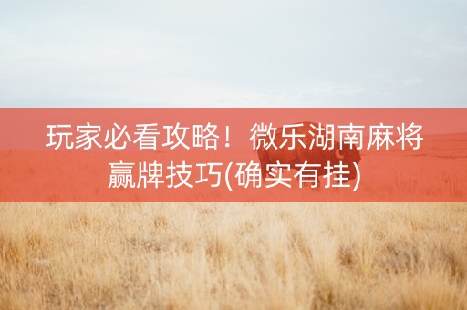 玩家必看攻略！微乐湖南麻将赢牌技巧(确实有挂)