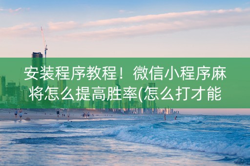 安装程序教程！微信小程序麻将怎么提高胜率(怎么打才能赢)
