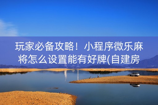 玩家必备攻略！小程序微乐麻将怎么设置能有好牌(自建房怎么赢)