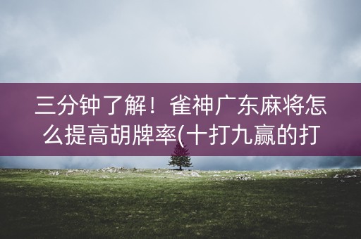 三分钟了解！雀神广东麻将怎么提高胡牌率(十打九赢的打法)