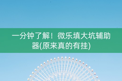一分钟了解！微乐填大坑辅助器(原来真的有挂)