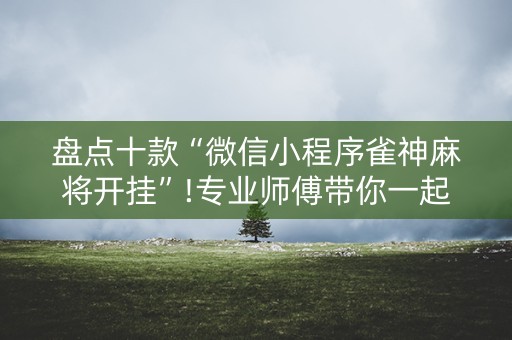 盘点十款“微信小程序雀神麻将开挂”!专业师傅带你一起了解（详细教程）-抖音