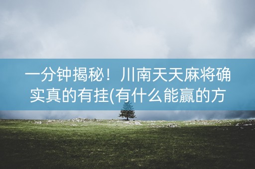 一分钟揭秘！川南天天麻将确实真的有挂(有什么能赢的方法)