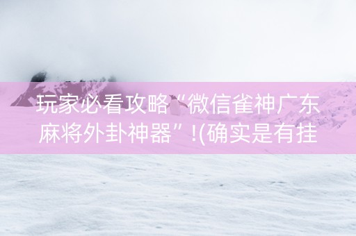 玩家必看攻略“微信雀神广东麻将外卦神器”!(确实是有挂)-抖音