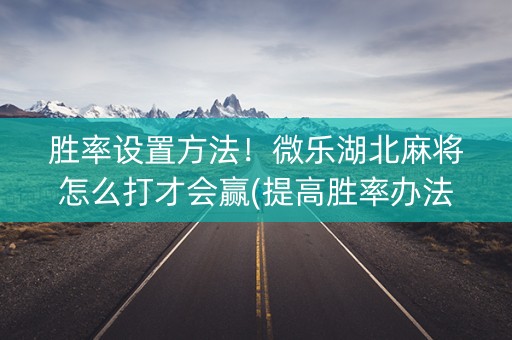 胜率设置方法！微乐湖北麻将怎么打才会赢(提高胜率办法)