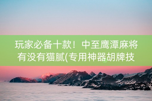 玩家必备十款！中至鹰潭麻将有没有猫腻(专用神器胡牌技巧)