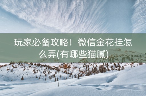 玩家必备攻略！微信金花挂怎么弄(有哪些猫腻)