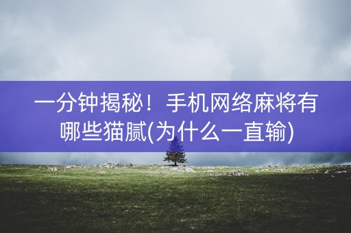 一分钟揭秘！手机网络麻将有哪些猫腻(为什么一直输)