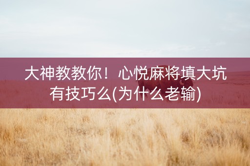 大神教教你！心悦麻将填大坑有技巧么(为什么老输)