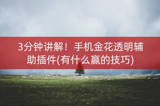 3分钟讲解！手机金花透明辅助插件(有什么赢的技巧)