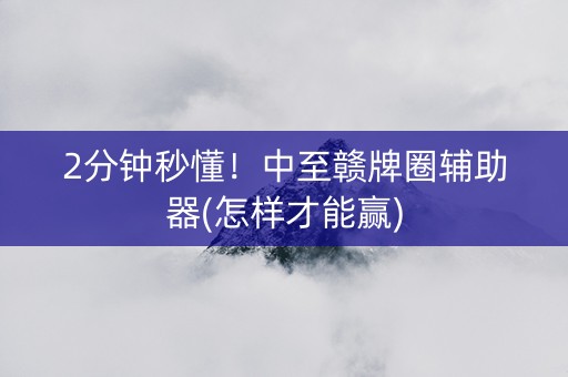 2分钟秒懂！中至赣牌圈辅助器(怎样才能赢)