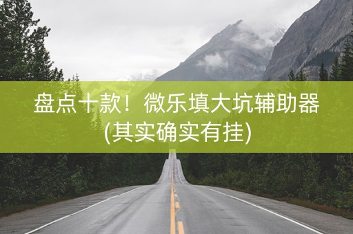盘点十款！微乐填大坑辅助器(其实确实有挂)