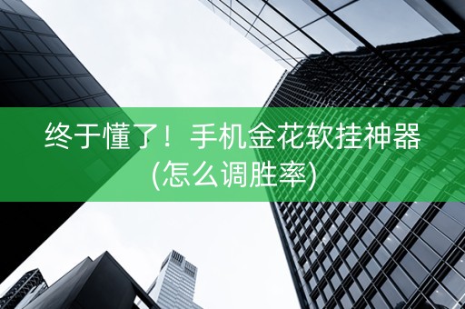 终于懂了！手机金花软挂神器(怎么调胜率)