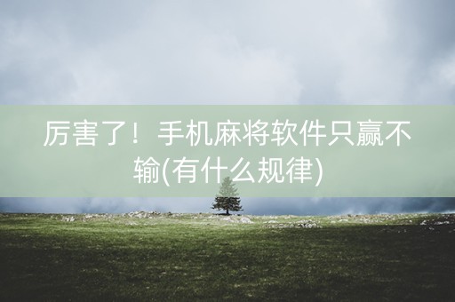厉害了！手机麻将软件只赢不输(有什么规律)