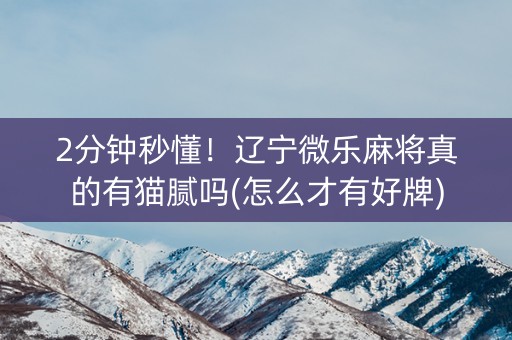 2分钟秒懂！辽宁微乐麻将真的有猫腻吗(怎么才有好牌)