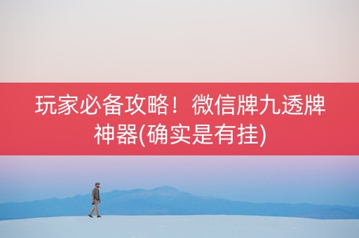 玩家必备攻略！微信牌九透牌神器(确实是有挂)