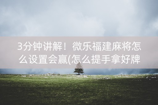 3分钟讲解！微乐福建麻将怎么设置会赢(怎么提手拿好牌)