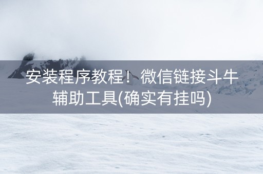安装程序教程！微信链接斗牛辅助工具(确实有挂吗)
