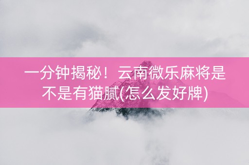 一分钟揭秘！云南微乐麻将是不是有猫腻(怎么发好牌)