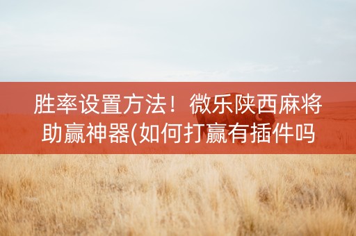 胜率设置方法！微乐陕西麻将助赢神器(如何打赢有插件吗)