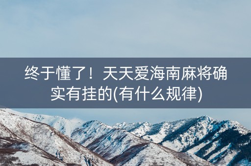 终于懂了！天天爱海南麻将确实有挂的(有什么规律)