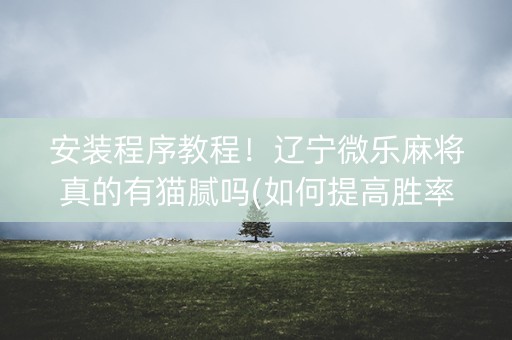 安装程序教程！辽宁微乐麻将真的有猫腻吗(如何提高胜率)