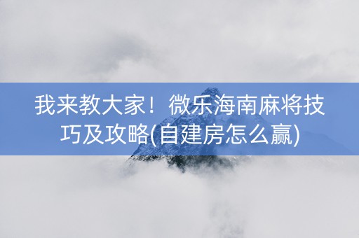 我来教大家！微乐海南麻将技巧及攻略(自建房怎么赢)