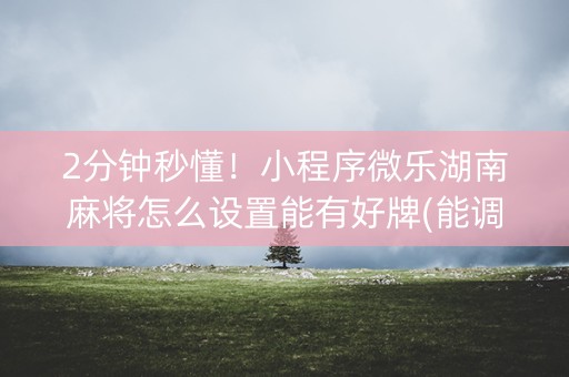 2分钟秒懂！小程序微乐湖南麻将怎么设置能有好牌(能调胜率吗)