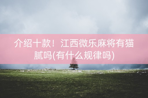 介绍十款！江西微乐麻将有猫腻吗(有什么规律吗)