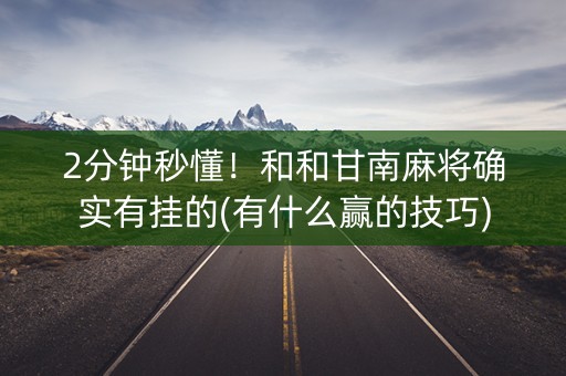 2分钟秒懂！和和甘南麻将确实有挂的(有什么赢的技巧)