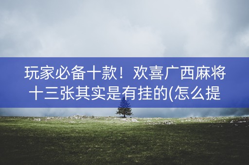 玩家必备十款！欢喜广西麻将十三张其实是有挂的(怎么提升胜率)