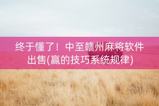 终于懂了！中至赣州麻将软件出售(赢的技巧系统规律)