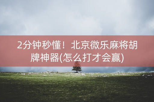 2分钟秒懂！北京微乐麻将胡牌神器(怎么打才会赢)