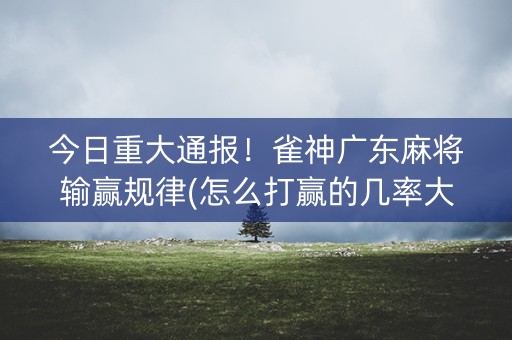 今日重大通报！雀神广东麻将输赢规律(怎么打赢的几率大)