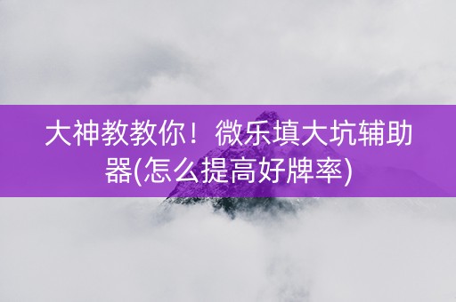 大神教教你！微乐填大坑辅助器(怎么提高好牌率)