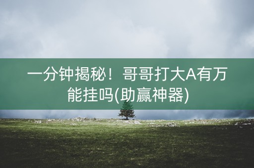 一分钟揭秘！哥哥打大A有万能挂吗(助赢神器)