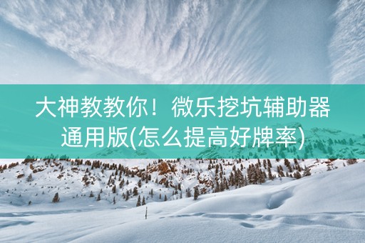 大神教教你！微乐挖坑辅助器通用版(怎么提高好牌率)