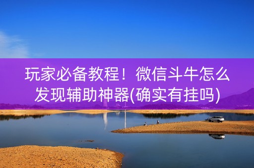 玩家必备教程！微信斗牛怎么发现辅助神器(确实有挂吗)
