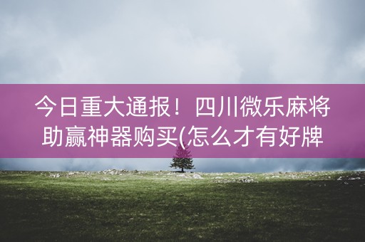 今日重大通报！四川微乐麻将助赢神器购买(怎么才有好牌)