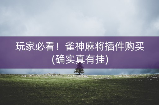玩家必看！雀神麻将插件购买(确实真有挂)