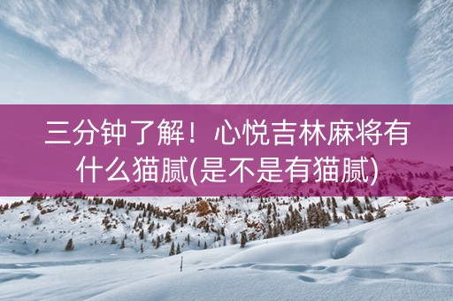 三分钟了解！心悦吉林麻将有什么猫腻(是不是有猫腻)