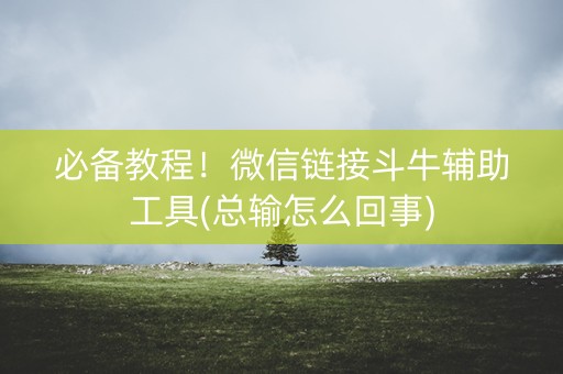 必备教程！微信链接斗牛辅助工具(总输怎么回事)