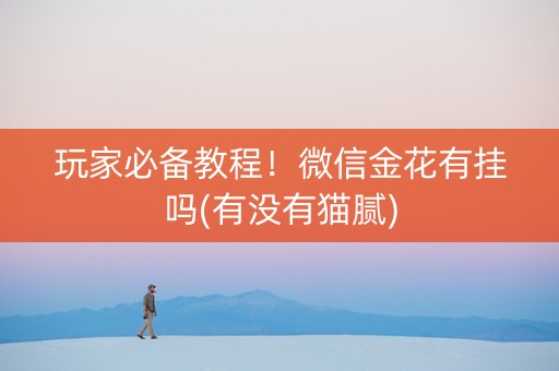 玩家必备教程！微信金花有挂吗(有没有猫腻)
