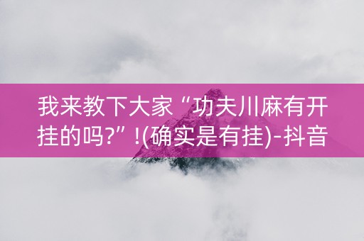 我来教下大家“功夫川麻有开挂的吗?”!(确实是有挂)-抖音
