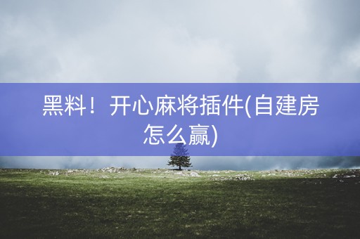 黑料！开心麻将插件(自建房怎么赢)