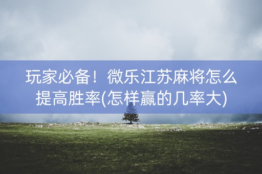 玩家必备！微乐江苏麻将怎么提高胜率(怎样赢的几率大)